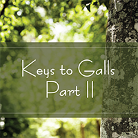 Keys to Galls Part II